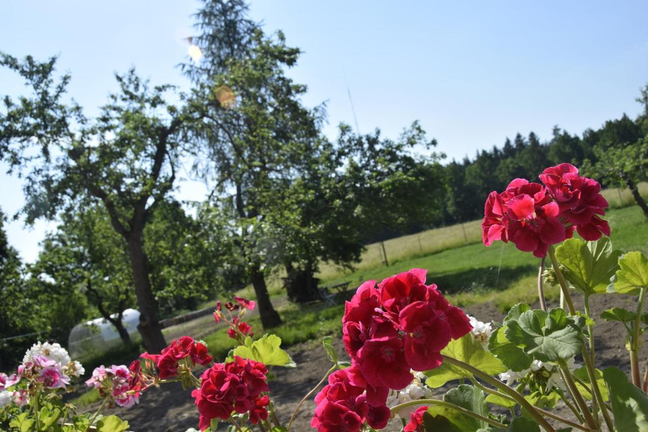 Villa Nowa Kamienica 11 Stara Kamienica Esterno foto