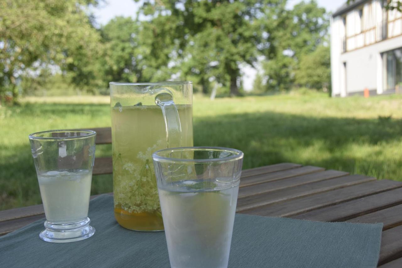 Villa Nowa Kamienica 11 Stara Kamienica Esterno foto