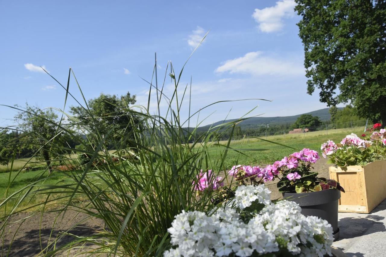 Villa Nowa Kamienica 11 Stara Kamienica Esterno foto