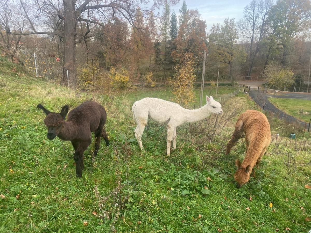 Villa Nowa Kamienica 11 Stara Kamienica Esterno foto